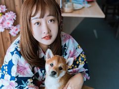 -柴源莊·柴小宠柴犬咖啡