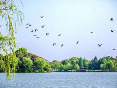 -海合安武汉极地海洋公园