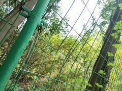 -浮山风景名胜区