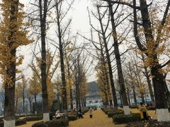 -两江幸福广场