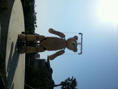 android_upload_pic-济州岛泰迪熊博物馆