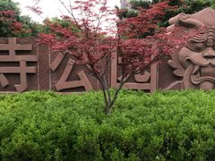 -木塔寺遗址生态公园
