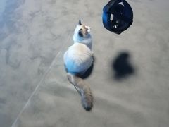 -零纪元VR体验馆·桌游(黄浦店)