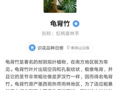 -南岗山公园