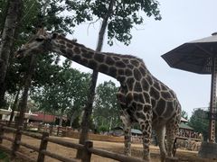 -大连森林动物园