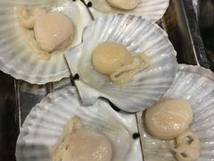 扇贝-董大蒸货(方塔园店)