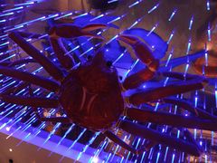 -蟹之国·精品蟹料理(极地店)