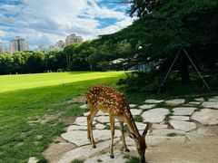 -银树楼(紫玉山庄东区店)