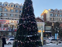 -高新活力汇Vitality