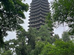 -博雅塔