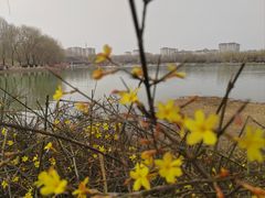 -河北省园博园