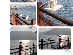 -海埂大坝