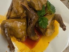 -百利鸽王(紫薇路店)