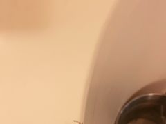 -白金汉爵大酒店(相城店)