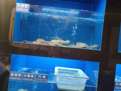葱油红膏蟹-金时代顺风大酒店(临港百联店)