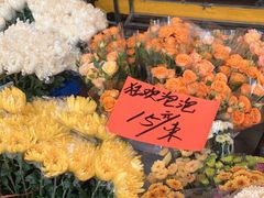 -循礼门鲜花花市(武汉循礼门店)