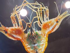 -和创柚子·会席日本料理(新区淮海街店)