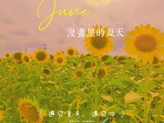 -映月湖中央公园
