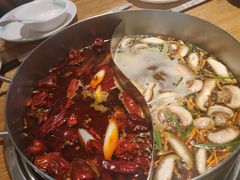-青瓷火锅料理(西单大悦城店)