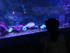 -南昌融创海世界