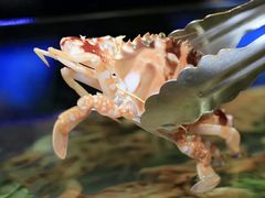 -V-ONE西雅图海鲜自助餐厅(仓山万达广场店)