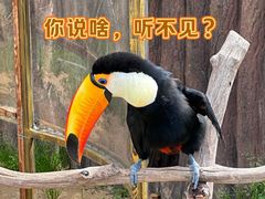 -上海野生动物园