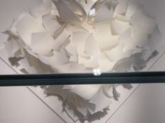 -BLACKSWAN黑天鹅(环球店)