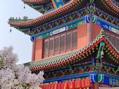 -天津市峰山药王古寺