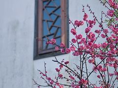 -郭庄景区