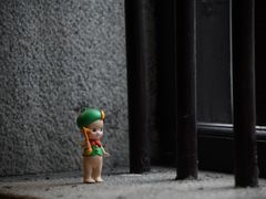 -碧江金楼
