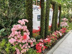 -上海醉白池公园