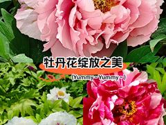-太阳宫公园
