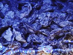 -兰州-西固陈记牛肉面·烧烤(山阴路店)