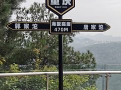 -铁山坪森林公园