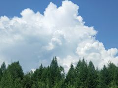 -北极村旅游风景区