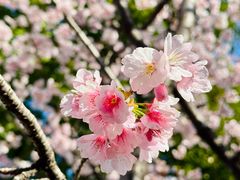 -静安雕塑公园