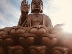 -龙口南山旅游景区