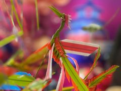 -银座商城(东城店)