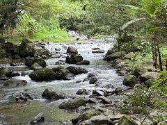 -广州市石门国家森林公园