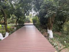 -张坝桂圆林公园