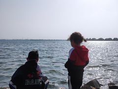 -漕湖湿地公园