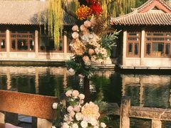-趵突泉景区