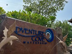 -新加坡水上探险乐园