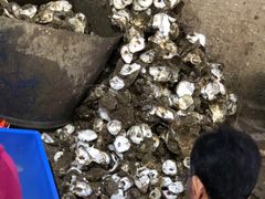 -濠轩阁特色生蚝火锅(水湾路店)