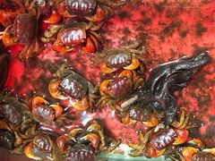 -大学城夜市大排档(凤栖路店)