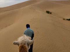 -亿利库布其七星湖沙漠生态旅游区