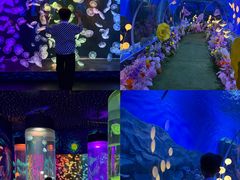 -顺德南宏海立方海洋公园