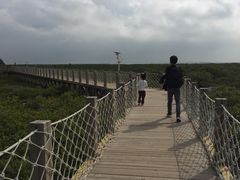 -北海金海湾红树林生态旅游区