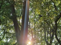 -惠山国家森林公园
