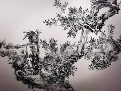 -中国美术学院-美术馆